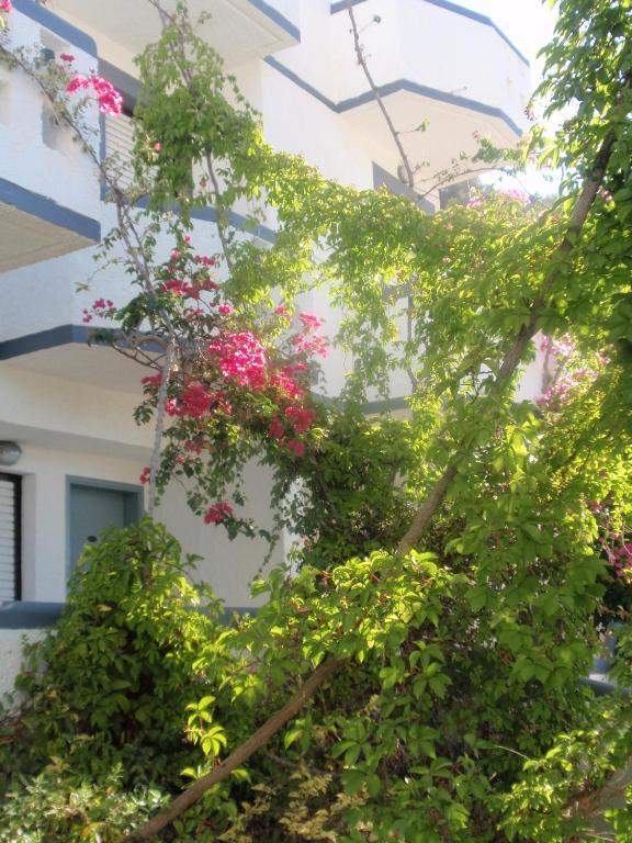 Fevro Hotel Agia Galini Habitación foto
