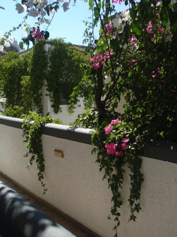Fevro Hotel Agia Galini Habitación foto